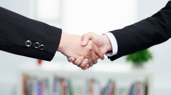 公司轉(zhuǎn)讓的法律條件與注意事項(xiàng)